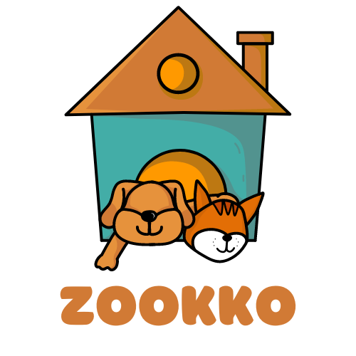 Zookko